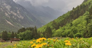 Экскурсия из Геленджика: Гуамское ущелье + термальные источники. фото 11900